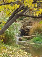 Waterfall In The Fall